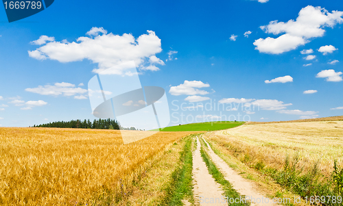 Image of agriculture landscape