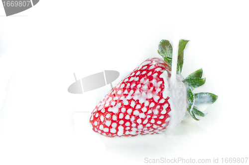 Image of strawberry splashing into milk