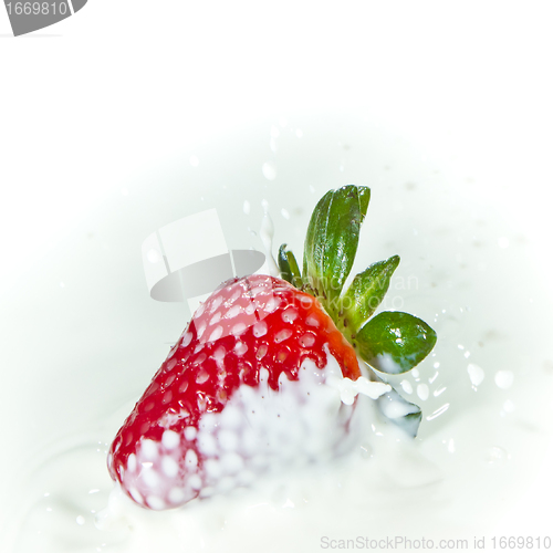 Image of strawberry splashing into milk