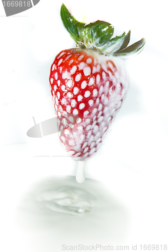 Image of strawberry splashing into milk