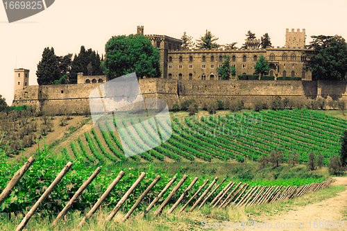 Image of Typical Tuscan landscape