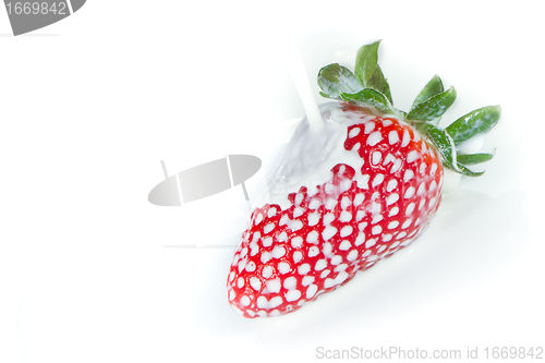 Image of strawberry splashing into milk