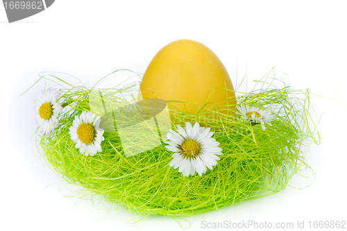 Image of easter egg in nest
