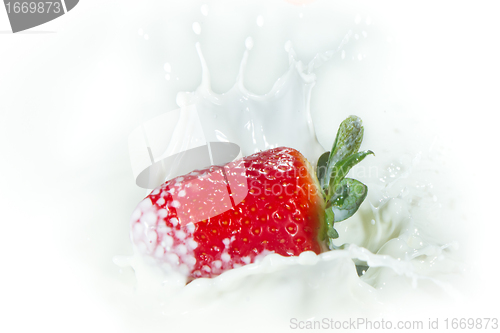 Image of strawberry splashing into milk