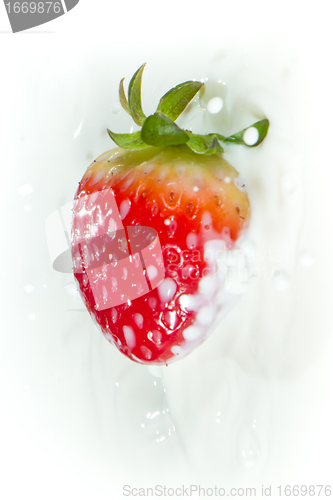 Image of strawberry splashing into milk