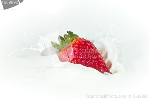 Image of strawberry splashing into milk