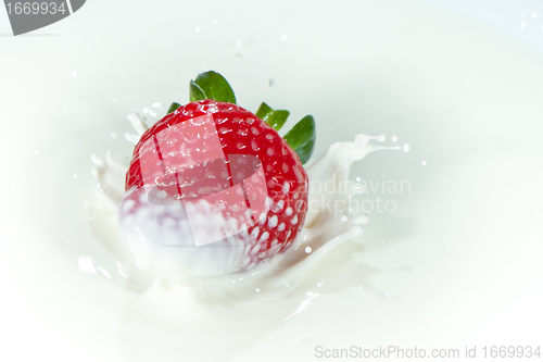 Image of strawberry splashing into milk