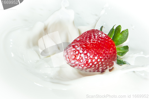 Image of strawberry splashing into milk