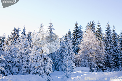 Image of fresh snow in the mountains