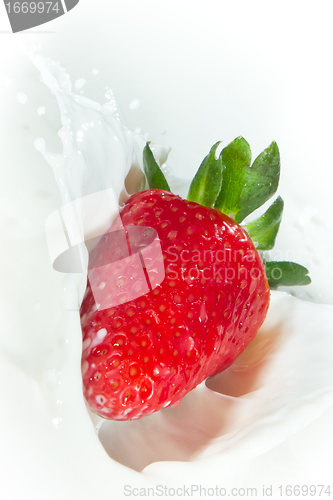 Image of strawberry splashing into milk