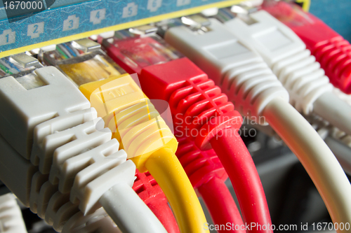 Image of network cables