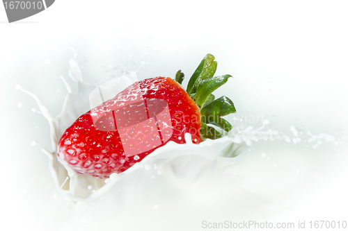 Image of strawberry splashing into milk