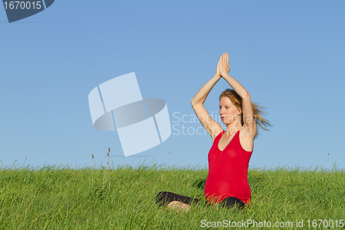 Image of pregnant woman on meadow