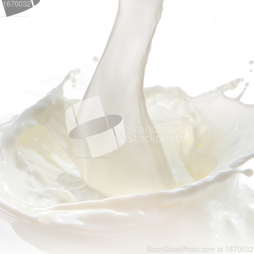 Image of milk splash