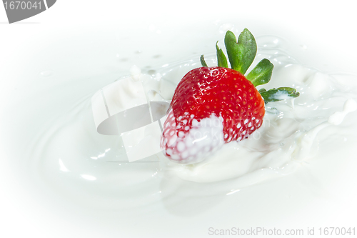 Image of strawberry splashing into milk