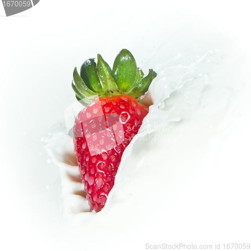 Image of strawberry splashing into milk