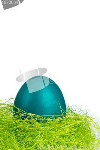 Image of easter egg in nest