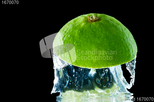 Image of fruit splash