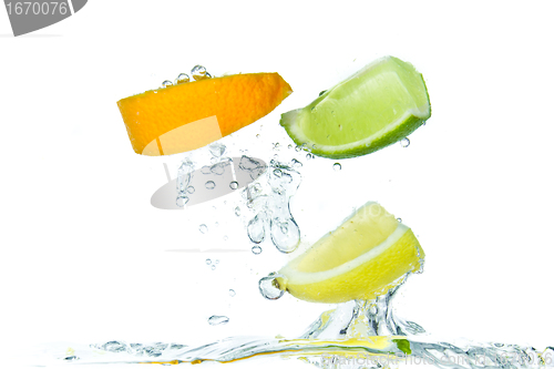 Image of citrus fruit splashing