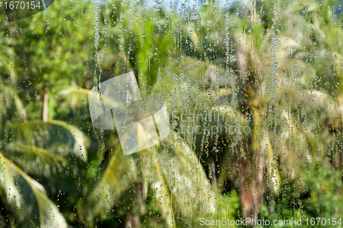 Image of drops on the glass