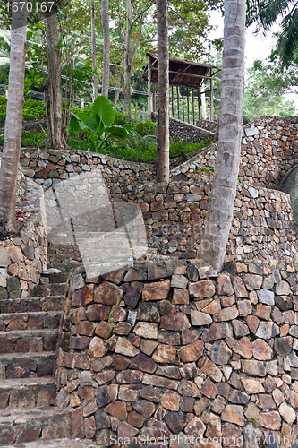 Image of stone staircase in the jungles