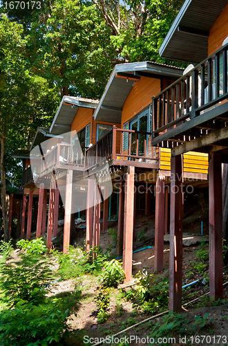 Image of house in a tropical forest