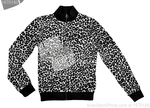 Image of spotted jacket