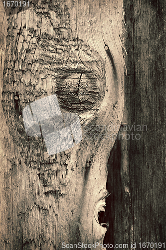 Image of old wood texture