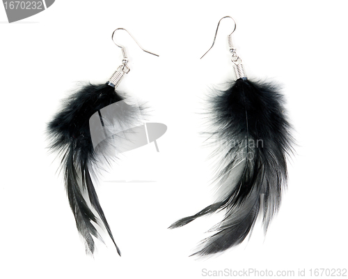 Image of A pair of women's earrings their feathers