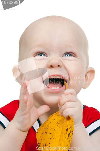 Image of Portrait of infant boy with yellow autumn leaves