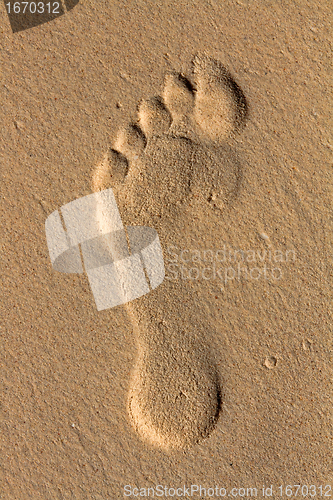 Image of footprint in the sand