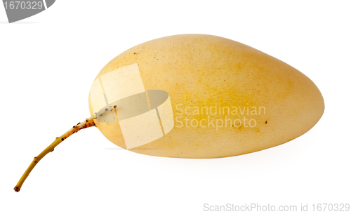 Image of fresh yellow mango