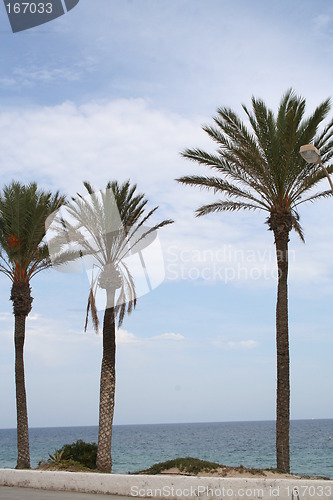 Image of The sea Costa Blanca