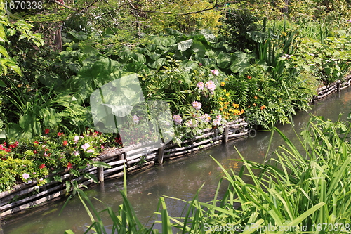 Image of river in the garden