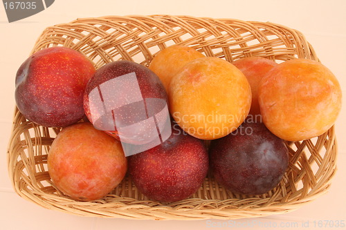 Image of Basket with spanish plums
