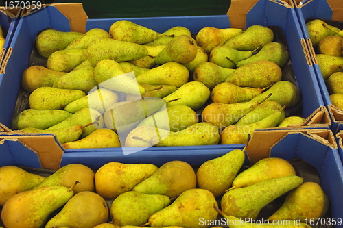 Image of Pear display, étalage de poires