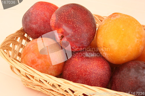 Image of Red and yellow plums