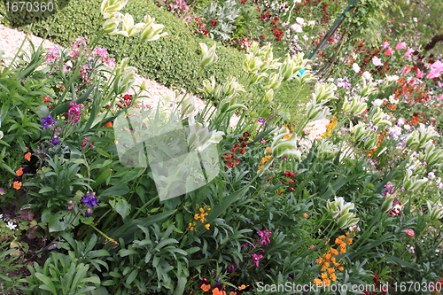 Image of flower garden in spring