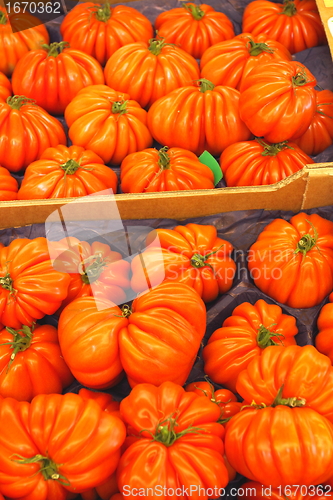 Image of Display tomato