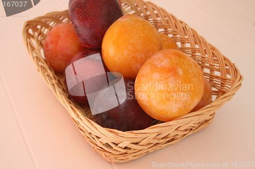 Image of Spanish plums in two colours