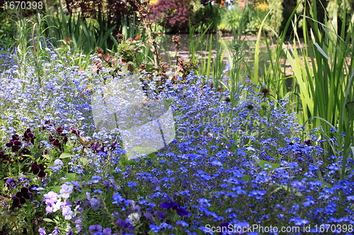 Image of flower garden in spring