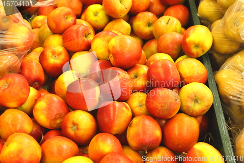 Image of Apple display, étalage de pommes