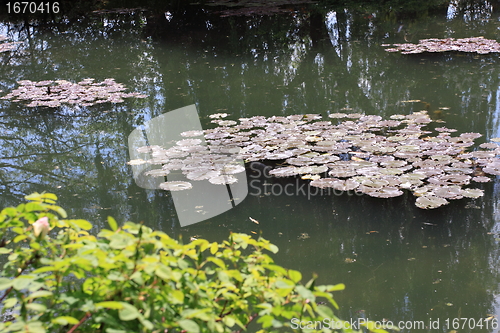 Image of river in the garden