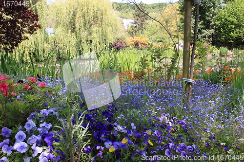 Image of flower garden in spring