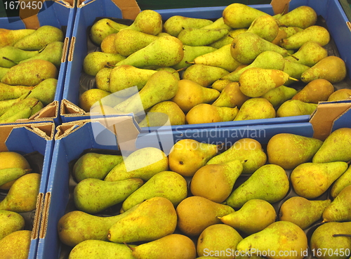 Image of Pear display, étalage de poires