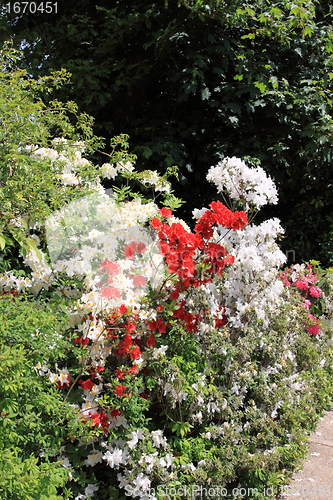 Image of flower garden in spring