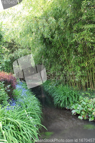 Image of river in the garden
