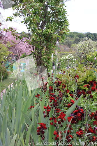 Image of flower garden in spring