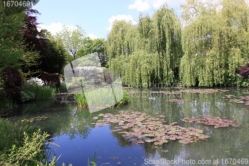 Image of river in the garden