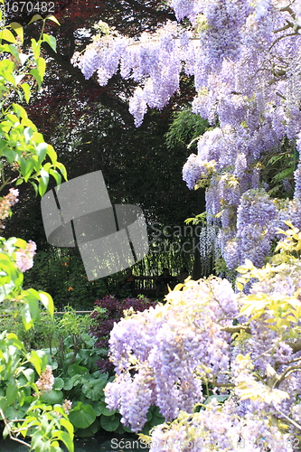 Image of flower garden in spring